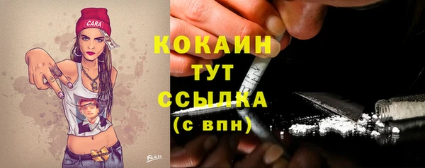 jwh Гусь-Хрустальный